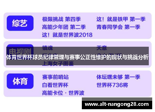 体育世界杯球员纪律管理与赛事公正性维护的现状与挑战分析