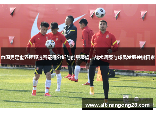 中国男足世界杯预选赛征程分析与前景展望，战术调整与球员发展关键因素