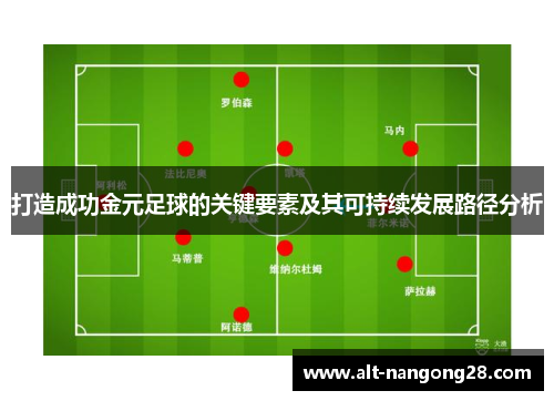 打造成功金元足球的关键要素及其可持续发展路径分析