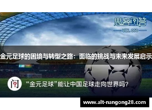 金元足球的困境与转型之路：面临的挑战与未来发展启示