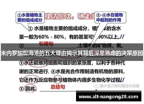 米内罗加盟海港的五大理由揭示其背后深思熟虑的决策原因