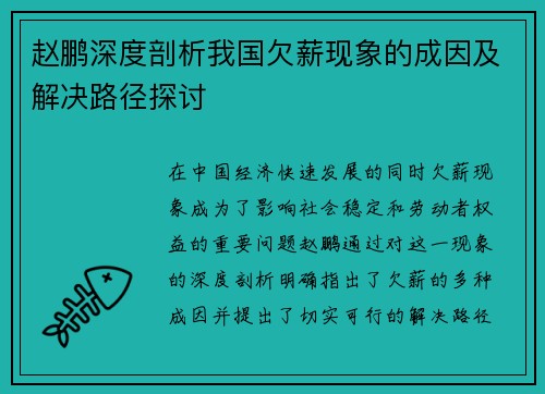 赵鹏深度剖析我国欠薪现象的成因及解决路径探讨