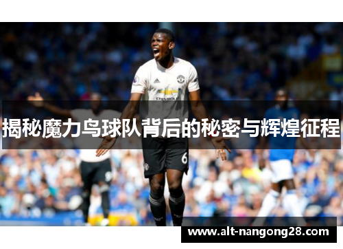 揭秘魔力鸟球队背后的秘密与辉煌征程